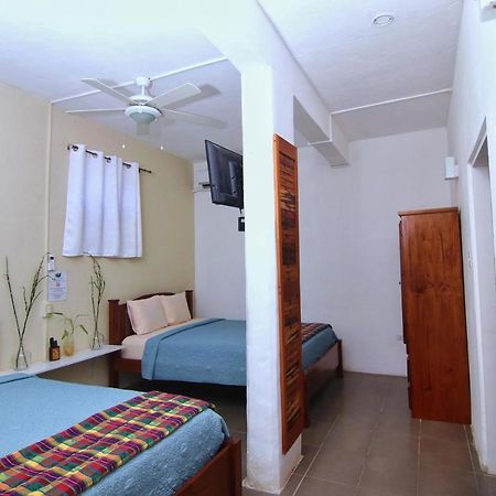 Rainforest Haven Inn San Ignacio Eksteriør billede